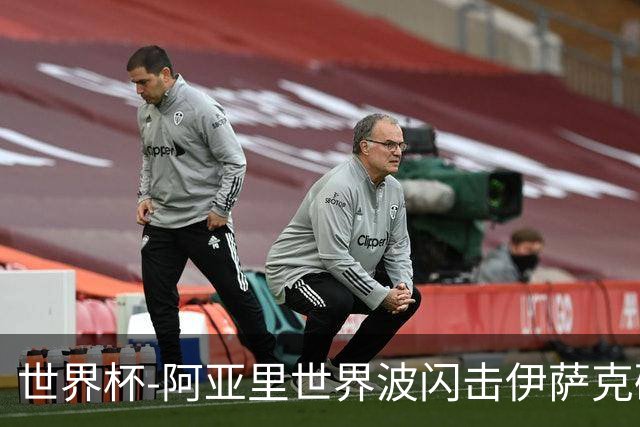 世界杯-阿亚里世界波闪击伊萨克破门 半场瑞典2-1突尼斯
